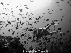 There were so many fish in the Gulf of Thailand! by Kristopher Thornhill 